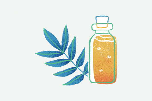 Tea Tree Oil for Hemorrhoids and Other Treatments at Home