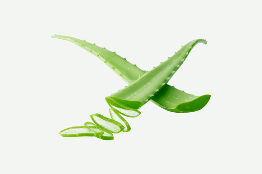 Aloe Vera on Hemorrhoids: Applying Aloe Vera During Home Treatment