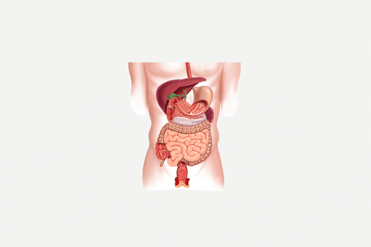 Can Hemorrhoids Cause Cancer?